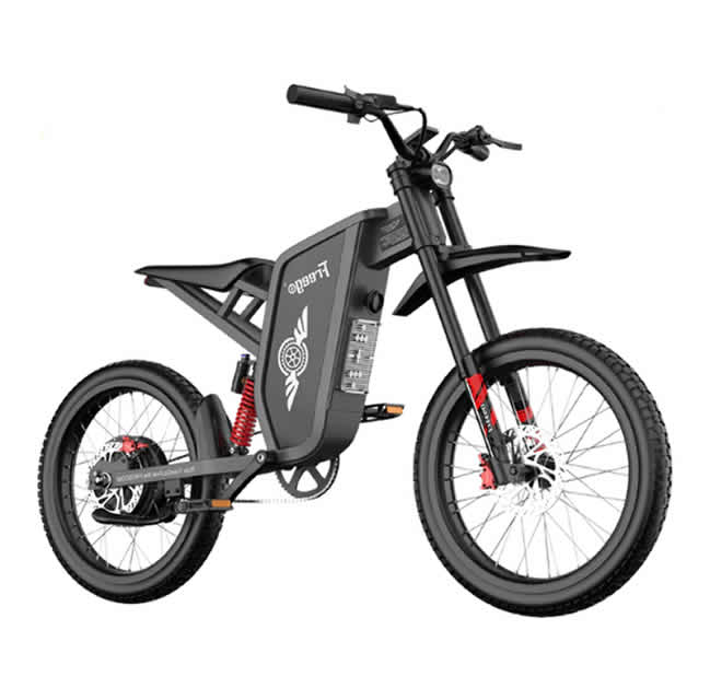 2026 Freego X1 Series Off Road Dirt Bike